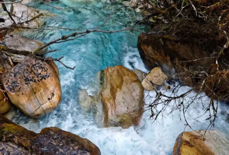 1773041743642127.jpg 14.jpg