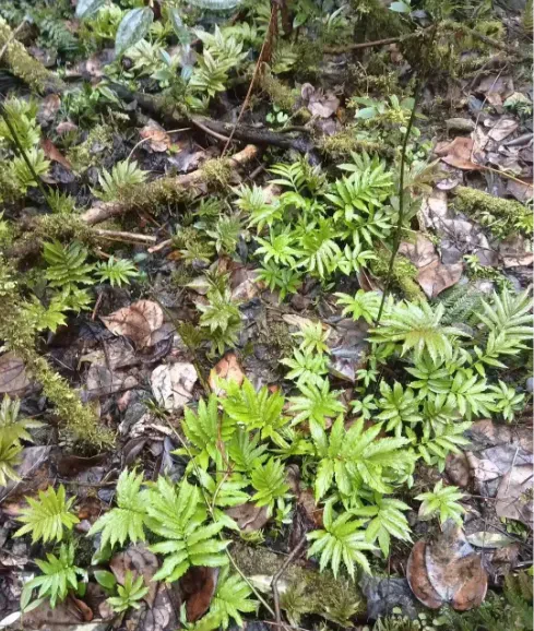 1773041729918234.jpg 11.jpg