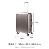 新秀丽（Samsonite）行李箱20寸可扩旅行箱行李箱专柜同款AY8 商品缩略图3