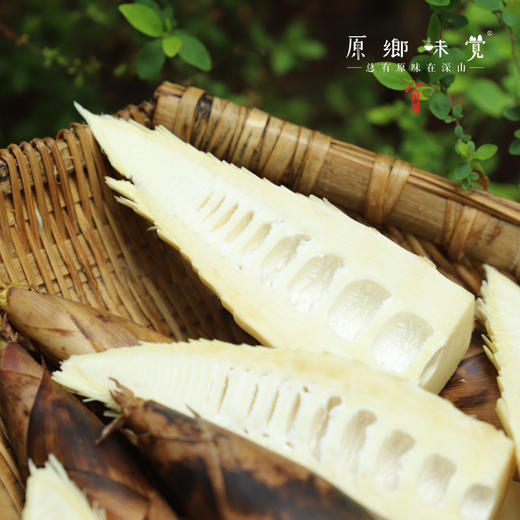 【排单发货中】天目山生态雷笋（基地直发-中通快递）|5斤装，来自浙江临安，采集者：潘新梅【合作生产，公平贸易】 商品图4