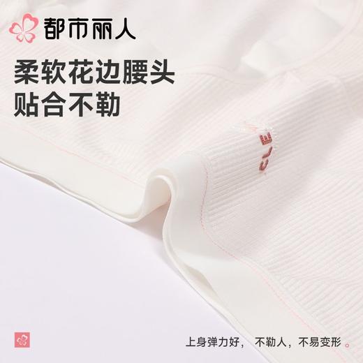 都市丽人内裤女士内裤人棉罗纹内裤木代尔内裤纤柔绵内裤LKC5C1 商品图4