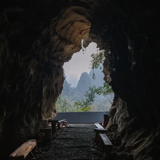 【暑假】何以岭南，在百越之地约会广西神奇生物【山海经】 7天6晚 商品图14