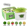 【29.9元任选3大盒❗️水培盆栽】柚芽儿童种植水培植物盆栽 小学生发芽蔬菜生长盒 水养无土栽培 商品缩略图7