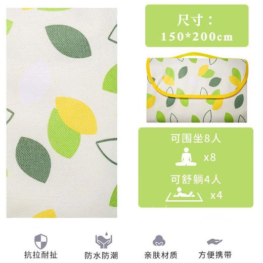 Westinghouse西屋户外露营野餐垫MN07A 商品图0
