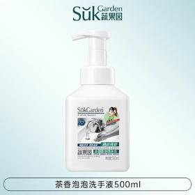 蔬果园茶香泡泡洗手液500ml