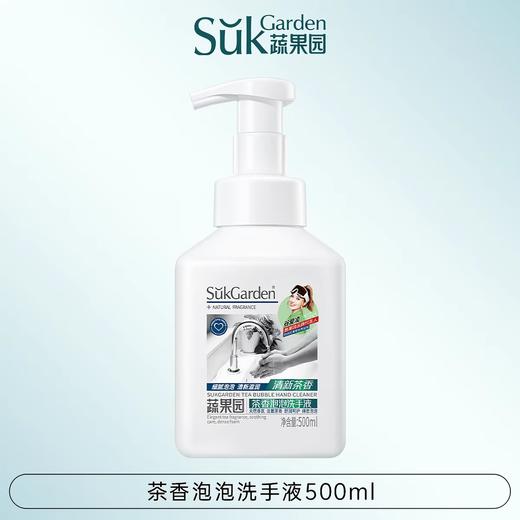 蔬果园茶香泡泡洗手液500ml 商品图0
