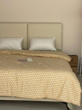 【清仓99元/床】全棉春秋被芯 4.5斤重适合22-25℃以上的温度【不支持退换货】