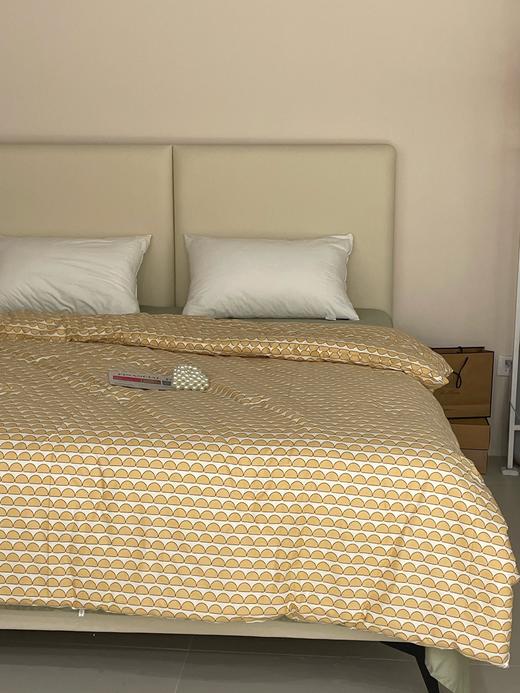 【清仓99元/床】全棉春秋被芯 4.5斤重适合22-25℃以上的温度【不支持退换货】 商品图0