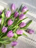 紫色郁金香10枝 商品缩略图0