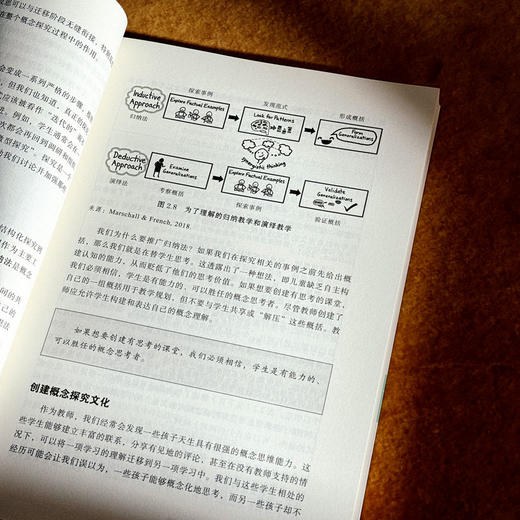 概念探究教学 促进可迁移理解的策略 大夏书系 培养学习力译丛 深度学习 商品图11