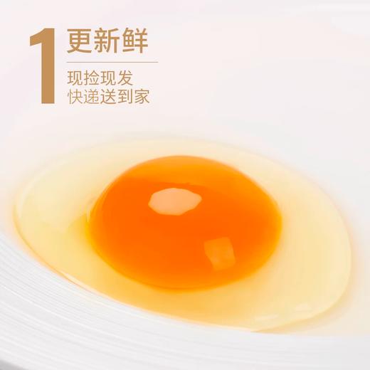 广视农场绿壳乌鸡蛋 口感鲜香30枚装 产地直发 新鲜到家 商品图3