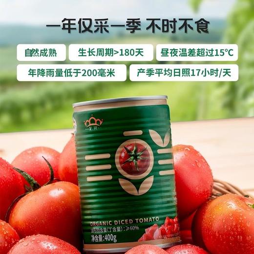 【新疆】25年新产季冠农有机番茄丁罐头 新鲜西红柿块番茄块果蔬罐头方便食品400g/罐 商品图1
