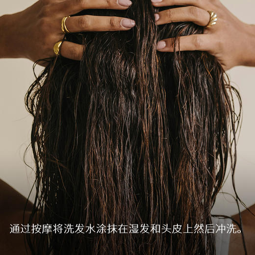 【新品】WELEDA维蕾德高山亚麻洗发水250ml/护发素150ml/护发精油30ml水润透亮秀发养护强韧发丝 商品图2