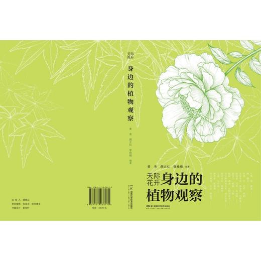 天际花开：身边的植物观察  四大场景串联，32种草木详解，一本让植物观察融入日常的沉浸式科普指南 商品图1