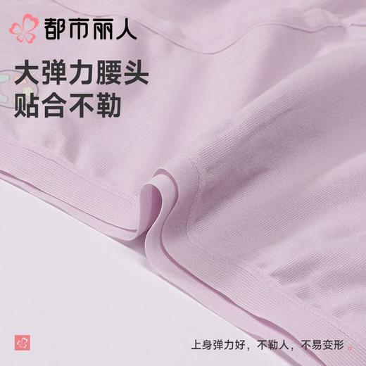 都市丽人内裤女士内裤95棉内裤棉质中腰内裤舒肤棉LKC5F4 商品图4