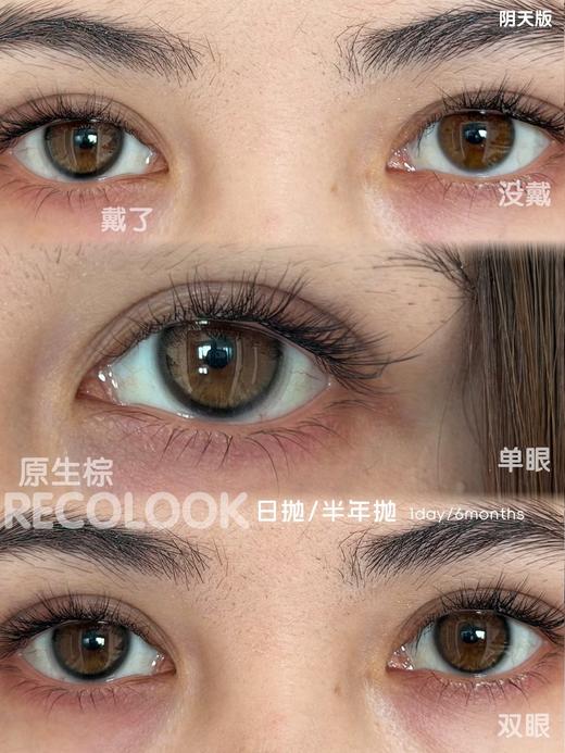 美轮美奂 原生棕/绿 日抛10片装 14.2 好看好看recolook 商品图4