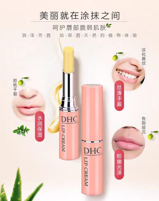 DHC橄榄护唇膏 商品图4