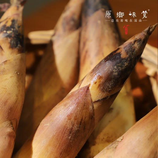 【排单发货中】天目山生态雷笋（基地直发-中通快递）|5斤装，来自浙江临安，采集者：潘新梅【合作生产，公平贸易】 商品图3