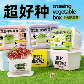 【29.9元任选3大盒❗️水培盆栽】柚芽儿童种植水培植物盆栽 小学生发芽蔬菜生长盒 水养无土栽培