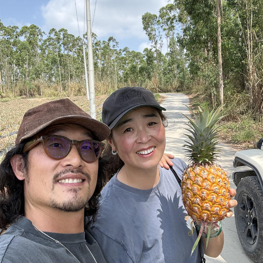 极客森林凤梨（金钻）丨被森林包围的农场，树上熟采摘，绿色食品认证，香甜味浓，削皮即食，到货挑熟度高的先吃，常温保存，切勿直接冷藏⭐️顺丰快递 商品图1