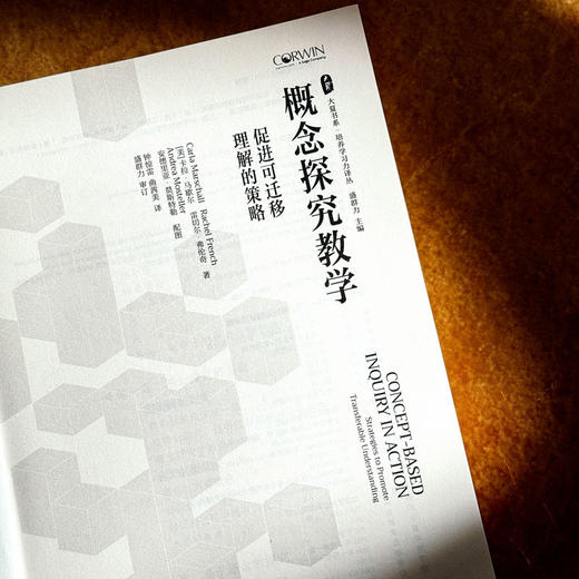 概念探究教学 促进可迁移理解的策略 大夏书系 培养学习力译丛 深度学习 商品图4