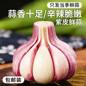 【安心优选】紫皮鲜蒜 3斤2026年新鲜大蒜头 腌制糖蒜时令蔬菜 