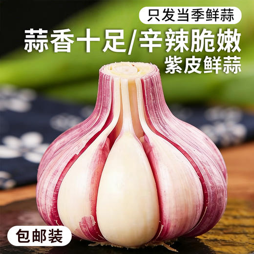 【安心优选】紫皮鲜蒜 3斤2026年新鲜大蒜头 腌制糖蒜时令蔬菜  商品图0