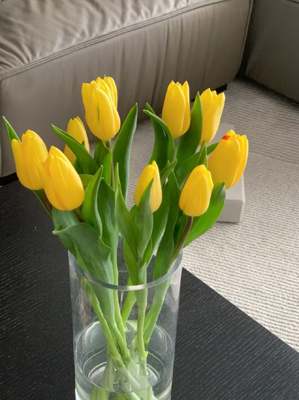 黄色郁金香10枝