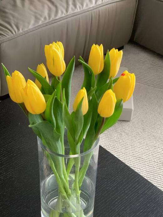 黄色郁金香10枝 商品图0