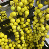 切果-小香果 商品缩略图1