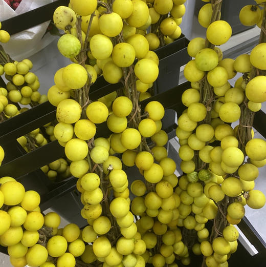 切果-小香果 商品图1