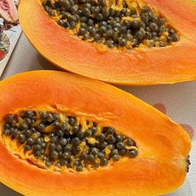 海南树上熟木瓜礼盒