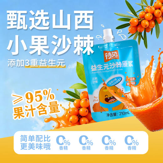 ² 新品9.9元/袋【沙棘复合原浆】小果沙棘原浆 黄芪沙棘/人参沙棘/枸杞沙棘 /益生元沙棘  210ml/袋 HM02-CRMM-SXSJ 商品图0