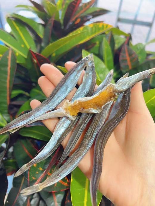 带籽银鱼干（油滚子） 自然晾晒，原汁原味🤔掰开银鱼干，那一抹金黄的鱼籽或银白的鱼膏映入眼帘。热油炒香，或和小菜一起伴着吃，或炸着吃，都非常的美味😋😋 个大肉厚，带籽率高。 1袋250g全国包邮 商品图0