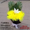 千丝菊摆台-黄色清明节祭祀用品花扫墓花祭祀仿真花束上坟手捧塑料假花墓地摆放花 商品缩略图0