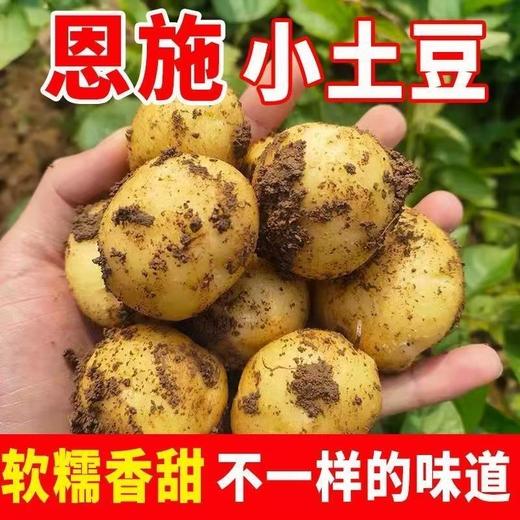 【软糯香甜】 恩施小土豆 净重3斤/5斤 个大皮黄 商品图0