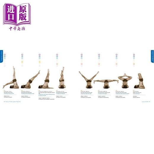 【中商原版】瑜伽体式 瑜伽姿势百科全书 英文原版 Yogasana The Encyclopedia of Yoga Pose Yogrishi Vishvketu 商品图1