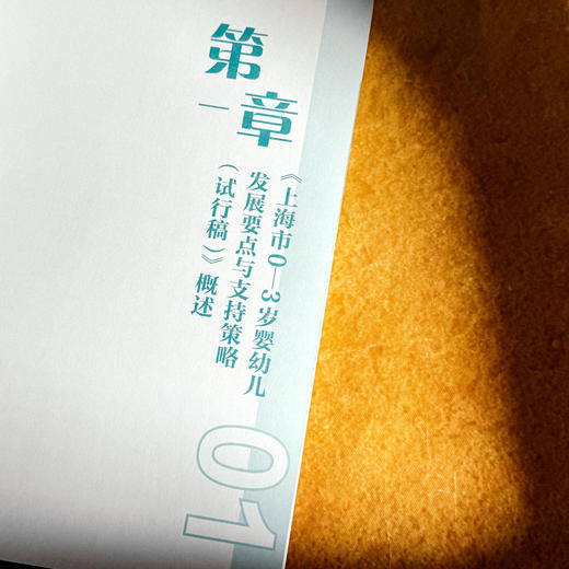 《上海市0-3岁婴幼儿发展要点与支持策略（试行稿）》案例式解读 托班观察与照护 家园共育 幼教手边书 商品图7