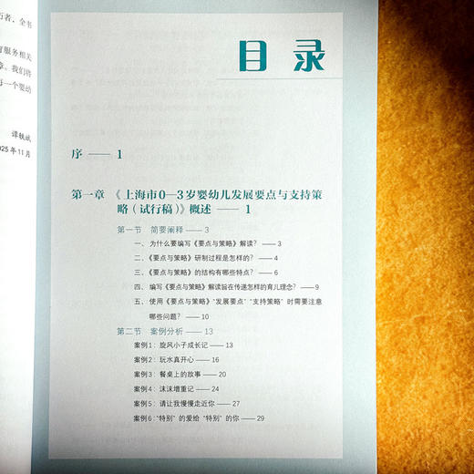 《上海市0-3岁婴幼儿发展要点与支持策略（试行稿）》案例式解读 托班观察与照护 家园共育 幼教手边书 商品图6
