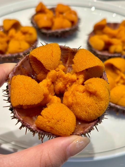 & 现挖海胆膏，炒菜，蒸蛋🥚一级鲜香！ 商品图0