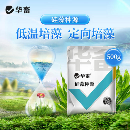 华畜硅藻种源500g 低温藻种肥水培饵 活力强繁殖快 可搭配肥水膏使用 商品图0