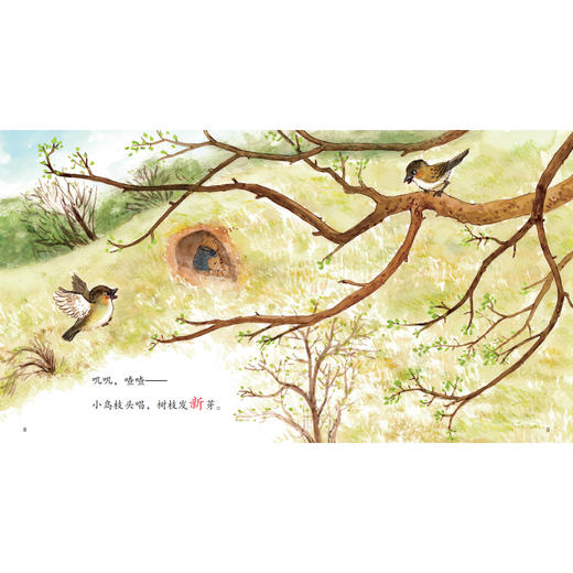 《小熊壮壮》（共4辑） 商品图13