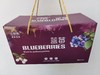 百鲜熊蓝莓礼盒（江浙沪皖包邮） 商品缩略图0