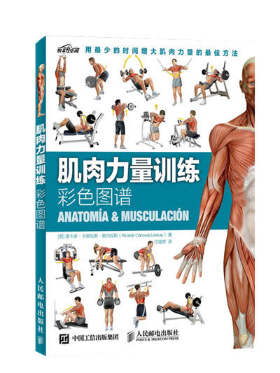 拉伸训练彩色图谱+肌肉力量训练彩色图谱+无器械力量训练彩色图谱 套装3册 多sku 商品图2