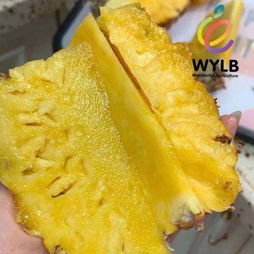 【会员39.5/颗】海南空运芒果凤梨 大果 3斤左右/颗 商品图7