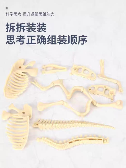 寻宝玩家挖挖乐 商品图5