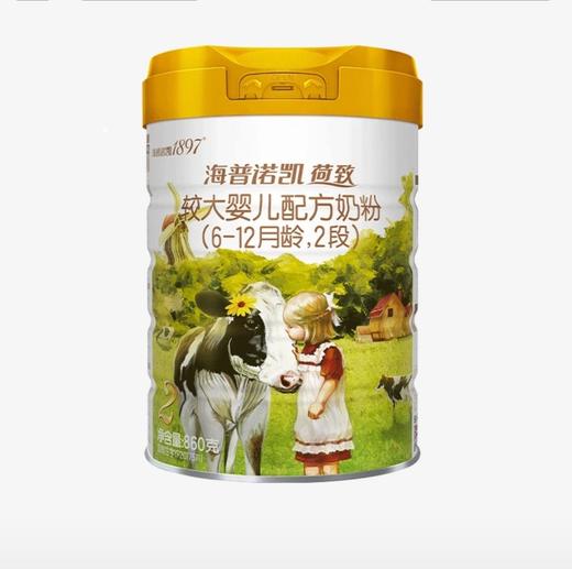 海普诺凯1897荷致白金版2段幼儿配方奶粉750g一箱6桶 商品图0
