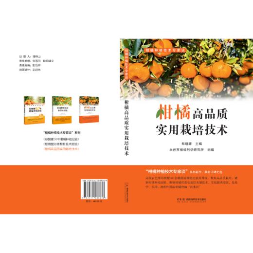 柑橘高品质实用栽培技术  80多岁一线专家匠心之作，全流程覆盖柑橘优质高产栽培，果农致富常备指南，是易学、实用、操作性强的柑橘种植“技术经” 商品图1