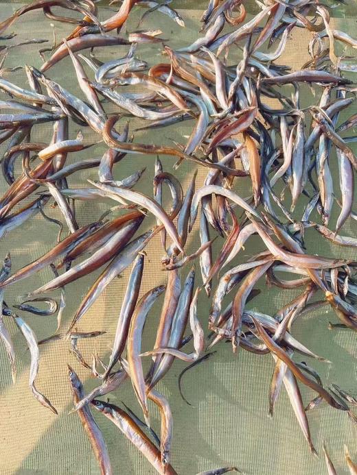 带籽银鱼干（油滚子） 自然晾晒，原汁原味🤔掰开银鱼干，那一抹金黄的鱼籽或银白的鱼膏映入眼帘。热油炒香，或和小菜一起伴着吃，或炸着吃，都非常的美味😋😋 个大肉厚，带籽率高。 1袋250g全国包邮 商品图2