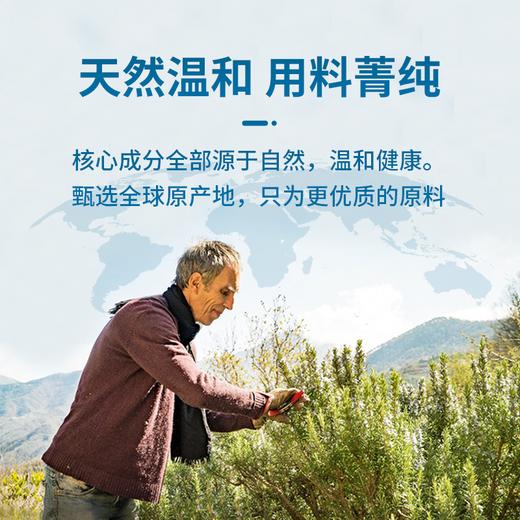 美国进口Cinmose鼻舒宁 尤加利星油藤喷雾剂 50ml/瓶 商品图3